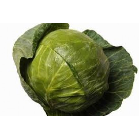 CABBAGE BIG